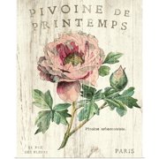 Great BIG Canvas | "Pivoine de Printemps" Art Print - 16x20