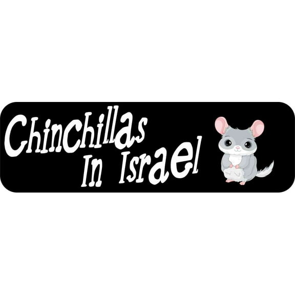 10in x 3in Chinchillas in Israel Magnet Magnetic  Pet Magnets Sign