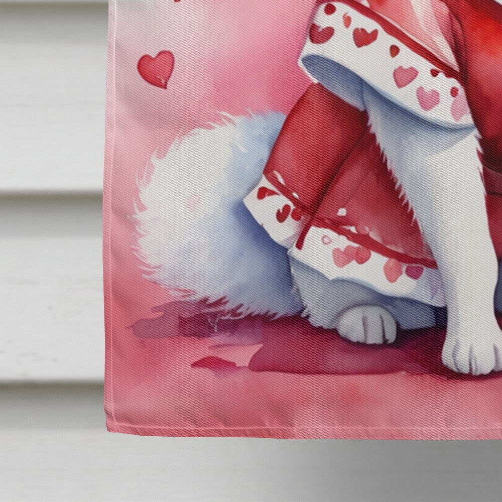 Caroline's Treasures DAC5263CHF American Eskimo My Valentine House Flag Large Porch Sleeve Pole Decorative Outside Yard Banner Artwork Wall Hanging, Polyester, House Size, Multicolor