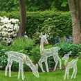 Prelit Christmas Reindeer Family, Outdoor Lighted Holiday Deer Yard