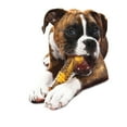thumbnail image 3 of Nylabone Power Chew Groove Bone Dog Chew Toy Philly Cheesesteak X-Large (1 Count), 3 of 14