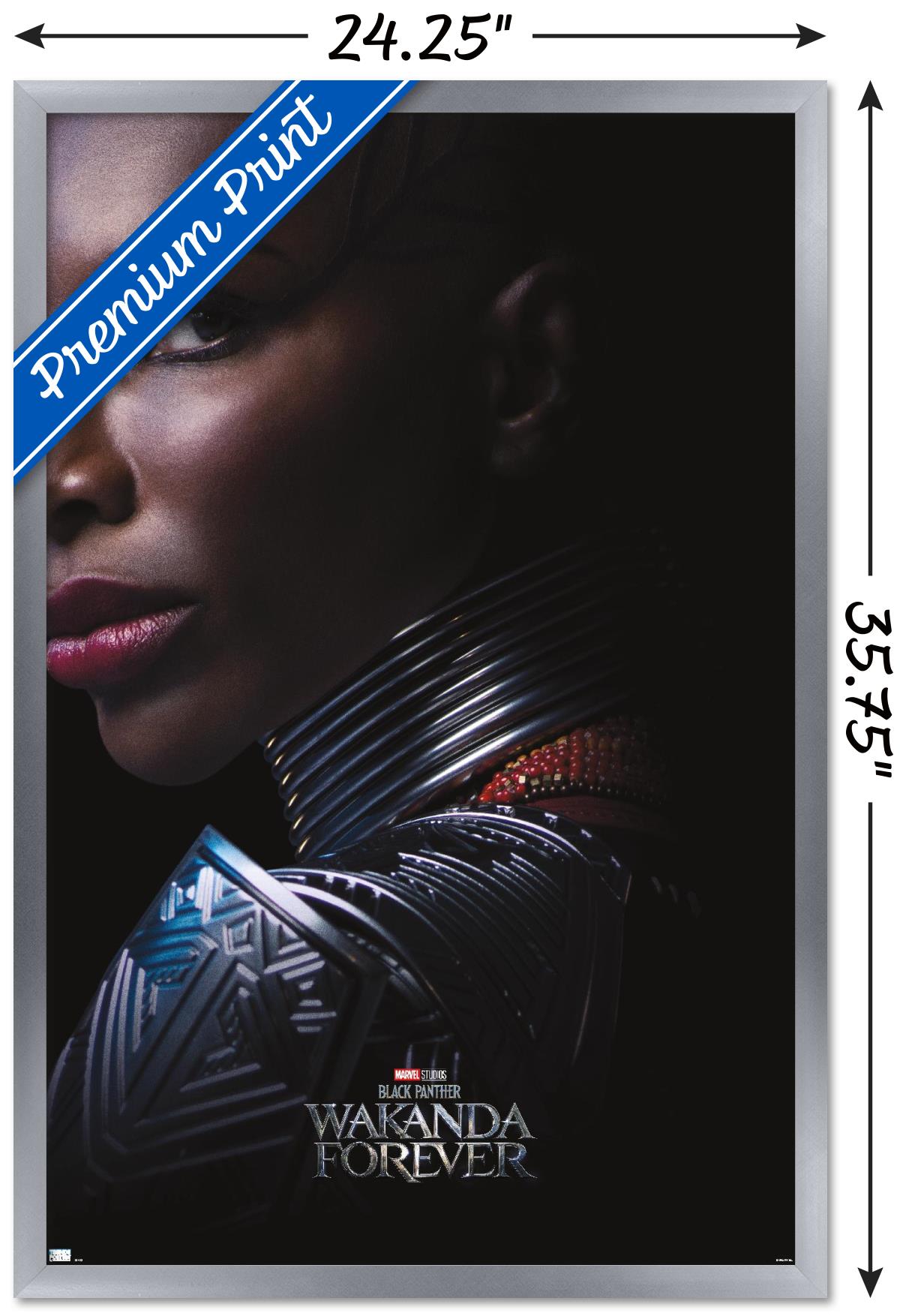 Marvel Black Panther: Wakanda Forever - Aneka One Sheet Wall Poster, 22.375" x 34" Framed