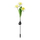thumbnail image 2 of Luces LED solares para jardín, con forma de flor, de 3 cabezas, decorativas, para exteriores, con forma de narciso, para jardín y patio., 2 of 7