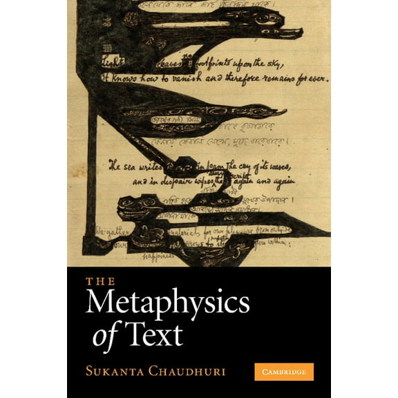 The Metaphysics of Text, (Paperback)
