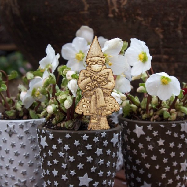 Estaca En Maceta Plant Garden Stake Grumpy Bernie Marcadores para Fern Bern Sign (4 piezas) Likrtyny Libre de BPA