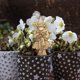 thumbnail image 1 of Estaca En Maceta Plant Garden Stake Grumpy Bernie Marcadores para Fern Bern Sign (4 piezas) Likrtyny Libre de BPA, 1 of 8