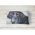 thumbnail image 2 of Carolines Treasures 7419PW1216 Black Labrador Face Fabric Decorative Pillow , 12H x16W, multicolor, 2 of 3