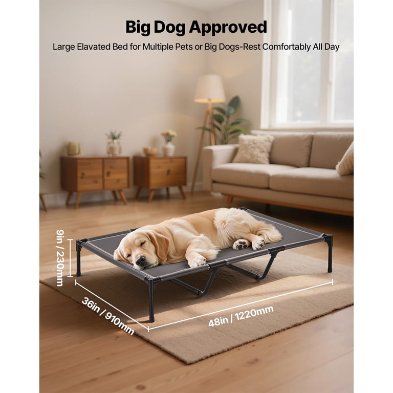 KFFKFF Elevated Dog Bed, 45" x 36" Mesh, Steel Frame photo 4