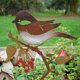 thumbnail image 2 of Pájaros de metal decorativos únicos con diseño grueso, arte de pared de metal resistente a la intemperie para jardín, decoración de exterior de alta calidad, silueta de pájaro, diseño elegante, 2 of 4