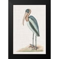thumbnail image 2 of Catesby, Mark 17x24 Black Modern Framed Museum Art Print Titled - Catesby Heron IV, 2 of 5
