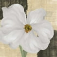 thumbnail image 2 of Greene, Taylor 15x15 White Modern Wood Framed Museum Art Print Titled - WHITE FLORAL I, 2 of 4
