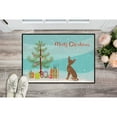 thumbnail image 3 of Carolines Treasures CK3508JMAT Brown Prague Ratter Christmas Tree Door Mat Indoor Rug or Outdoor Welcome Mat 24x36, 3 of 4