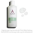 Alpha Skin Care Refreshing Face Wash 6 fl oz