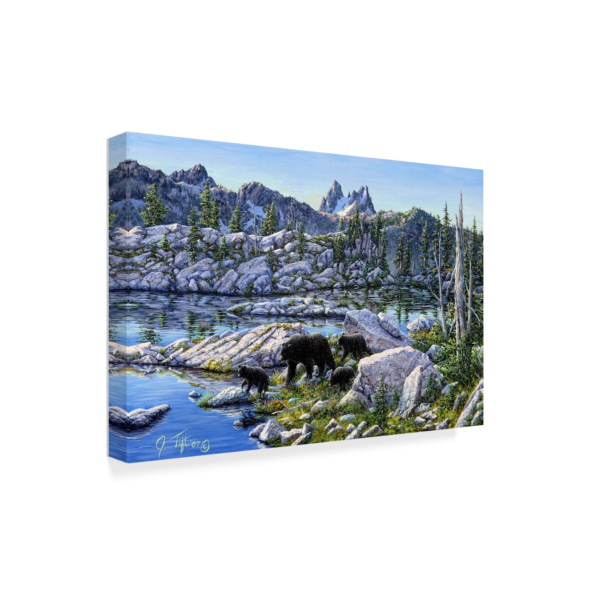 Trademark Fine Art 'Black Bear' Canvas Art by Jeff Tift