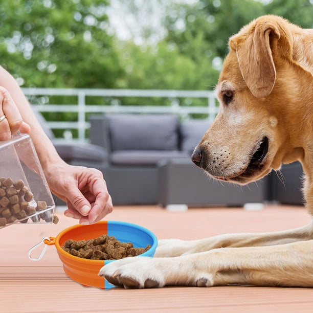 Cuenco Plegable Para Mascotas, Ventosa Fuerte, Clip Colgante De Silicona De Alimentaria, Cuenco De Viaje Para Mascotas Resistente A La Temperatura Para Exteriores