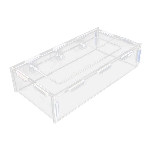 Comedero acrílico para pecera, fácil de instalar, con ventosa, transparente, para camarones. L