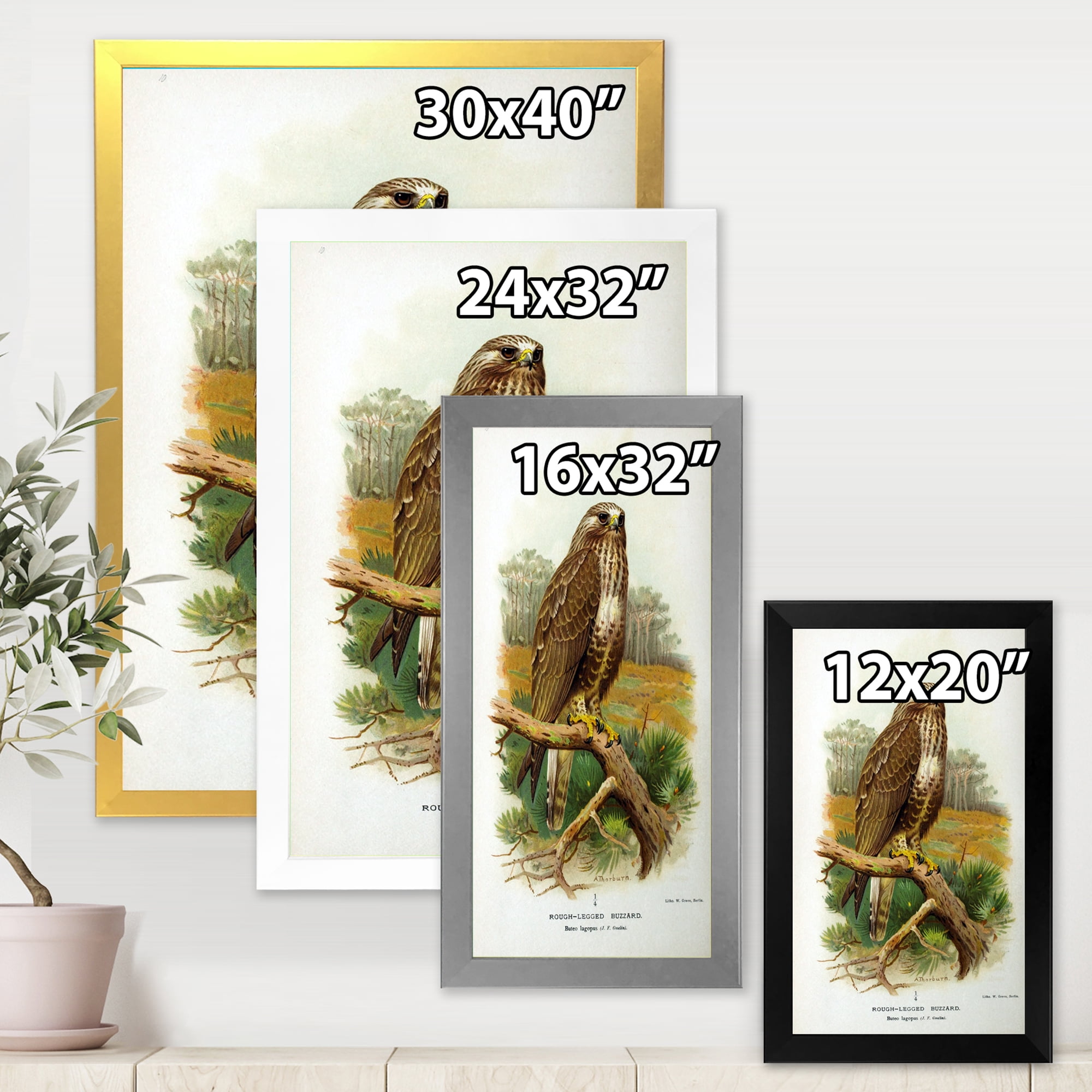 Designart 'Ancient Bird Life IX' Traditional Framed Art Print