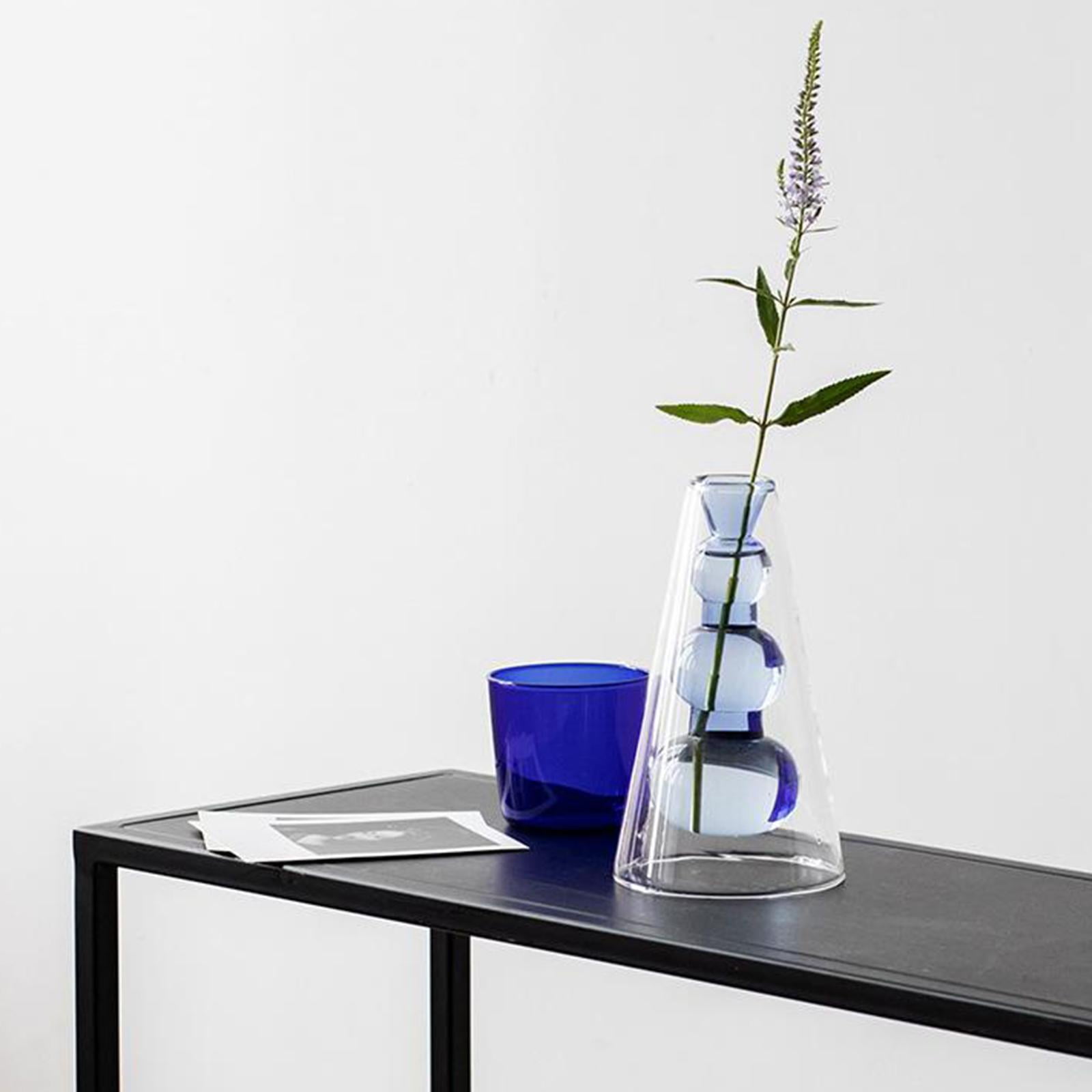 Desktop Glass Planter Hydroponics Vase, Transparent Planter Vase for