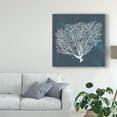 thumbnail image 3 of Trademark Fine Art 'Inverse Sea Fan II' Canvas Art by Grace Popp, 3 of 4