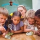thumbnail image 4 of Kit científico Dancing Bear Break Your Own Geodes 25 unidades, 4 of 9
