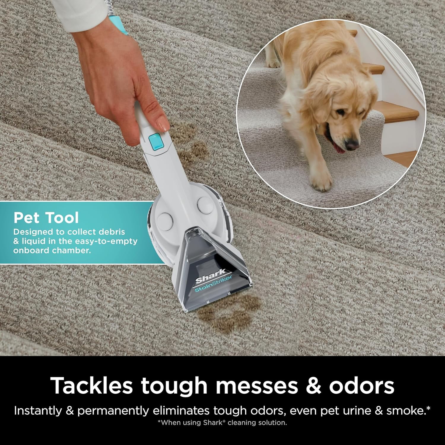 Restored Shark R-EX201 CarpetXpert with Stainstriker Upright Deep Carpet Cleaner, Cyan (Refurbished)