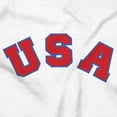thumbnail image 2 of USA United States Patriotic 4th July Plus Size Crewneck Graphic Tee Shirt Brisco Brands 3X, 2 of 6