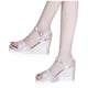 thumbnail image 4 of Zapatos de mujer de verano Boca de pescado Tacón de cuña medio Sandalias de mujer con hebilla de metal Wmkox8yii  nm9534, 4 of 4