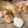 thumbnail image 7 of 2PCS Cat Hair Storage Bottle, Bottle for Pet Hairs Keychain, Cats Whisker Jar, Pet Memorial Urns, Pets Hair Keepsake, 7 of 7