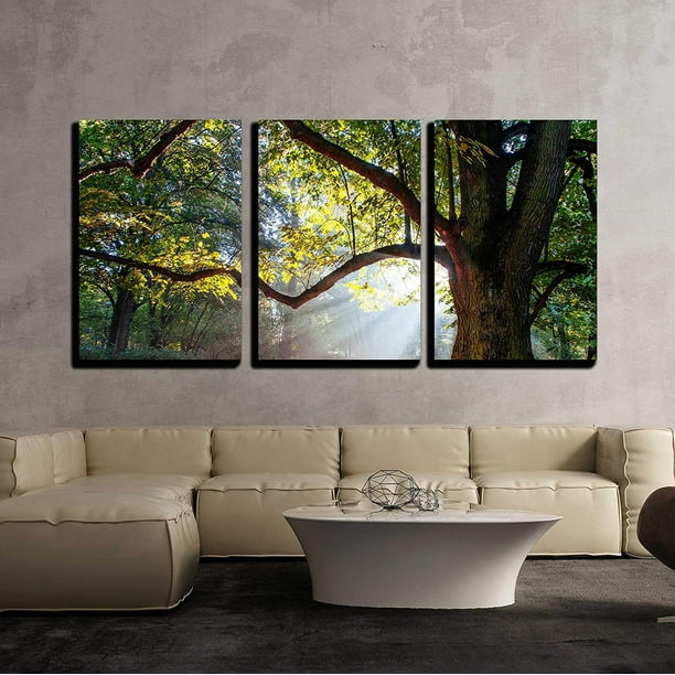 Wall26 3 Piece Canvas Wall Art - Mighty Oak Tree - Modern Home Decor