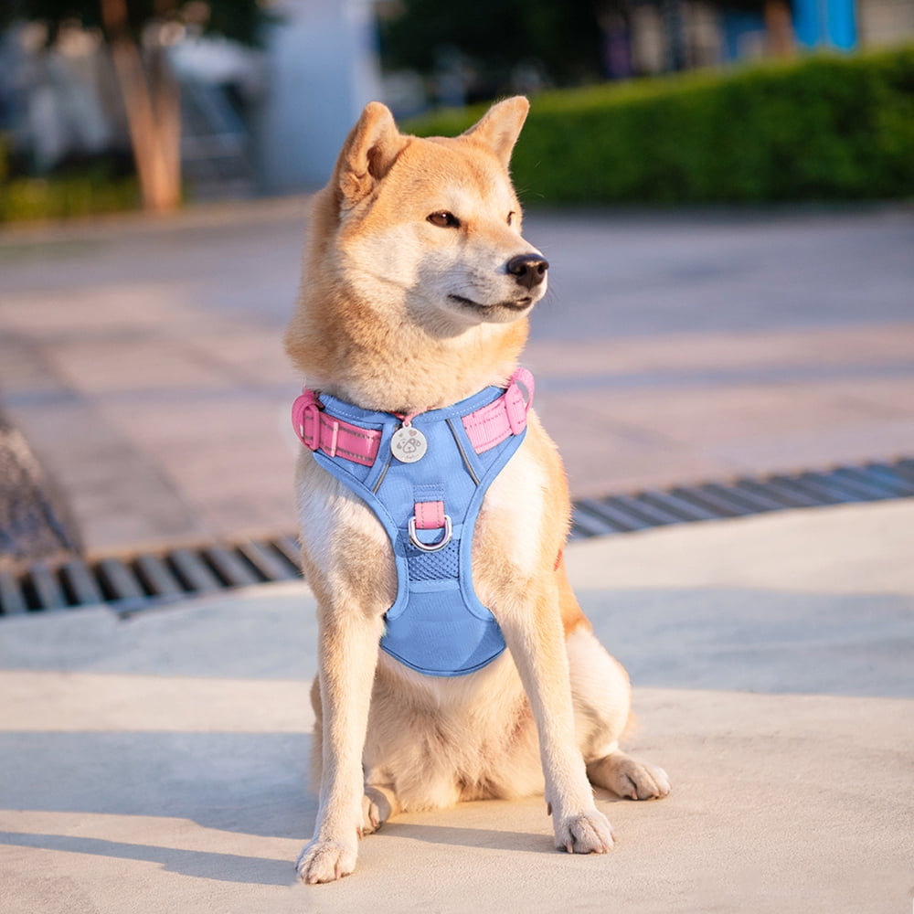 PHOEPET No Pull Dog Harness, Unique Colors Reflective Adjustable Dog Vest, with Soft Training Handle Metal Clips for Small Medium Large Dogs (Baby Blue Base & Pink Straps)