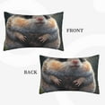 thumbnail image 2 of Balery Cute Fat Ball Branch Bedding Queen Pillow Cases - Envelope Closure - Soft Brushed Microfiber Fabric - Shrinkage and Fade Resistant Pillow Cases-20"x30", 2 of 6
