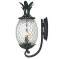 thumbnail image 4 of Acclaim Lighting 7501 2 Light 18" Height Pineapple Outdoor Wall Sconce From The, 4 of 15