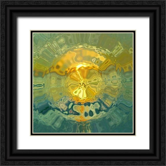 Studio Nine6 15x15 Black Ornate Wood Framed with Double Matting Museum Art Print Titled - Brilliance A