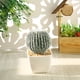 thumbnail image 5 of Gwong Decoración hogareña 1 UNID Artificial Suculenta Potted Bonsai DIY Home Office Muebles Decoración Gwong 21042152, 5 of 7