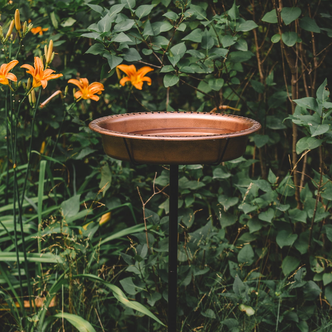 Backyard Expressions Oval Copper Finish Resin Garden Bird Bath with Ground Stake
