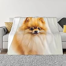 Yellow Pomeranian Blankets and Throws Ultra-Soft Micro Fleece Blanket Luxury All Seasons Throw Blanket Lightweight Flannel Air Conditioning Blankets for Couch Travel 50x60 inch