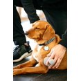 thumbnail image 4 of Cepillo de peluquería canina Dexas BrushBuster Silicone Massage, 4 of 7