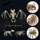 thumbnail image 3 of piezas Esqueleto de murciélago de Halloween Esqueleto de araña de Halloween Esqueleto de ratón de Halloween Huesos de animales aterradores Huesos de murciélago realistas Decoraciones de Halloween A, 3 of 4
