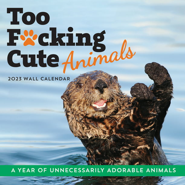 Calendars & Gifts to Swear by: 2023 Too F*cking Cute Animals Wall Calendar  : A Year of Unnecessarily Adorable Animals (Calendar) 