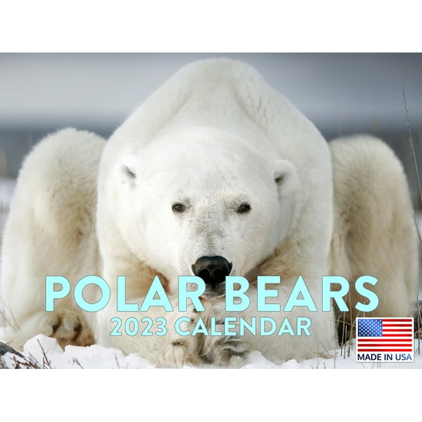 Polar Bear Calendar 2023 Monthly Wall Hanging Calendars Arctic Animal