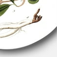 thumbnail image 3 of Designart 'Ancient Plant Life IV' Farmhouse Circle Metal Wall Art 23x23 - Disc of 23, 3 of 5