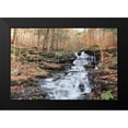 thumbnail image 2 of Deiter, Lori 24x17 Black Modern Framed Museum Art Print Titled - Waterfall Steps at Pigeon Run, 2 of 5