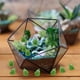 thumbnail image 4 of WORGEOUS 50 Uds. Rana en miniatura, rana falsa, Mini decoración de rana, rana Artificial, decoración de micropaisaje, 4 of 7