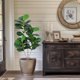 thumbnail image 3 of 4ft artificial multi-stem fiddle leaf ficus tree con pot, perfect para indoor y outdoor decoration in home, oficina, sala de estar, y bathroom, 3 of 5