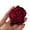 Red, variant on Princess on the Run Hair Clips Non-Slip Cute Hair Jaw Clamps Barrettes Strong Hold Hairpin for Girls