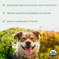 thumbnail image 5 of Dr. Mercola Bark & Whiskers Organic Fermented Mushroom Blend - Cat & Dog Supplement - Supports Digestive & Immune Health - Free from Additives, Filler & Gluten - 2.11 oz. (60 Scoops), 5 of 7