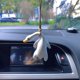 thumbnail image 3 of Colgante de coche, accesorio para colgar espejo retrovisor, diseño creativo de pato asado con cuello torcido en columpio, decoración de coche en miniatura, 3 of 4