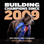 Bully Max 26/12 High Protein Chicken Wet Puppy Food