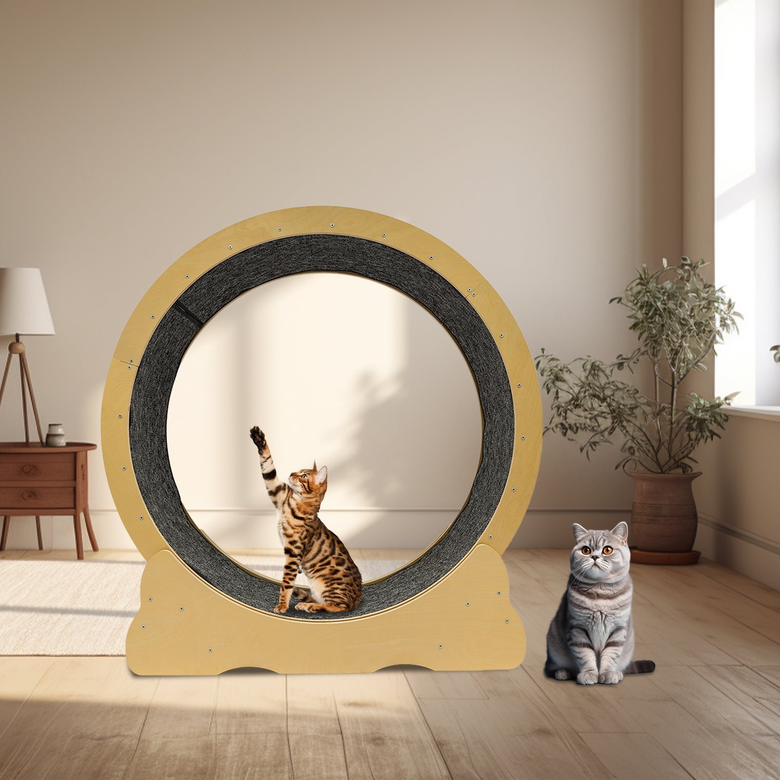Wildnix Sturdy and Spacious Cat Toy with Roller Track Design, 110.23 lbs Load Capacity, Perfect for Active Cats to Run and Exercise
