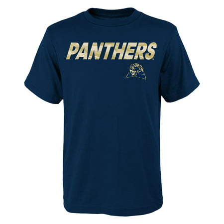 pittsburgh panthers ncaa 